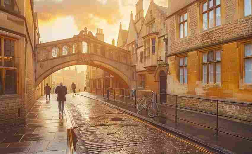 灞橋區(qū)SEO優(yōu)化成功案例有哪些？