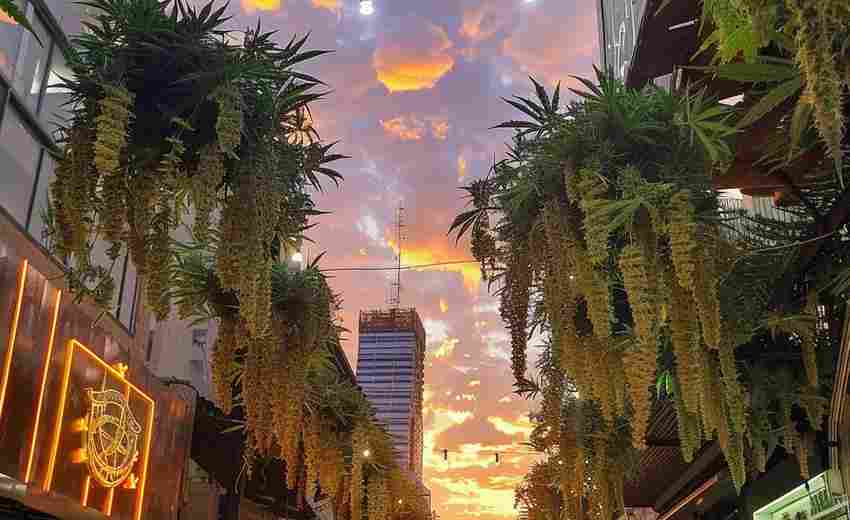 南寧有哪些知名的SEO服務公司及其特點？