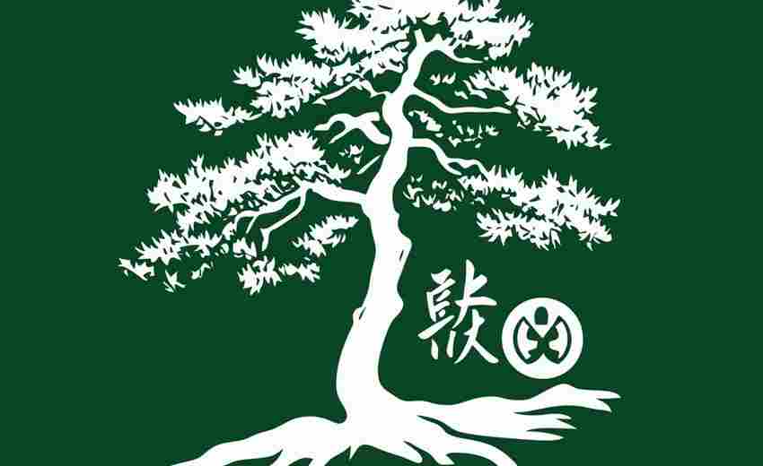 宜春樟樹SEO優(yōu)化公司的成功案例有哪些？