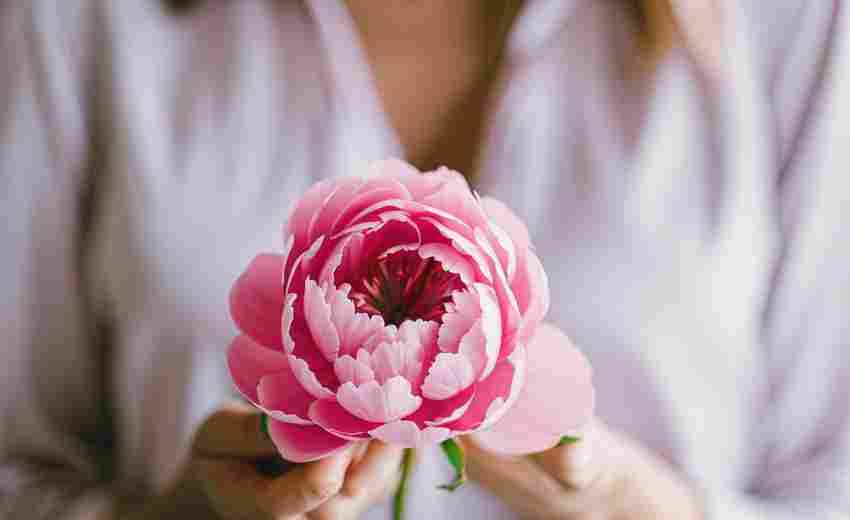 攀枝花云無(wú)限SEO服務(wù)有什么特色？