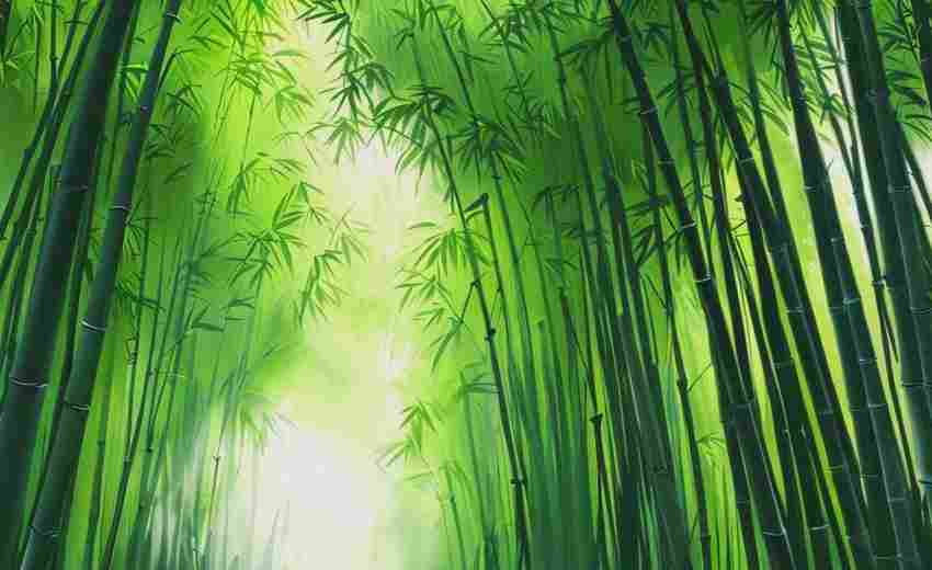 萬柏林區(qū)SEO優(yōu)化價格是多少？