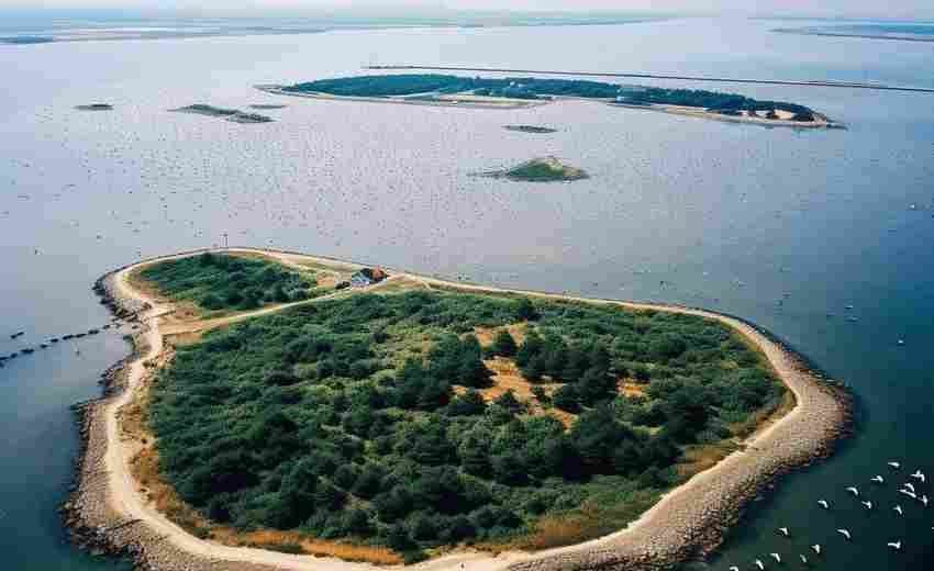 常州有哪些SEO優(yōu)化公司在專業(yè)能力和市場定位上具有優(yōu)勢？