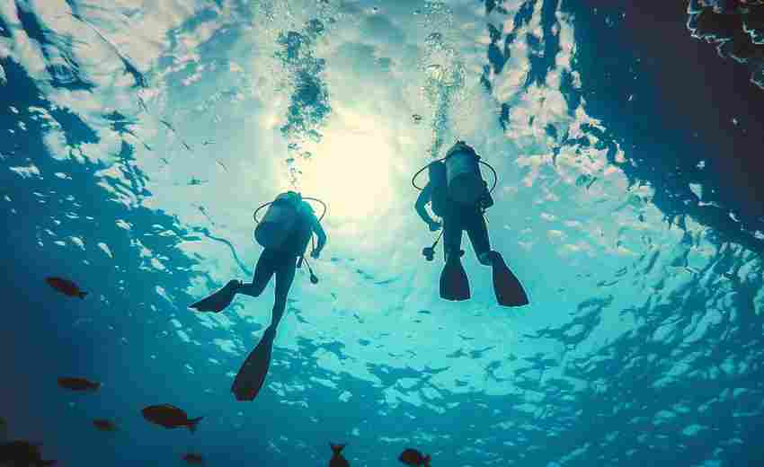 如何與潛在SEO合作伙伴有效溝通并理解你的需求？