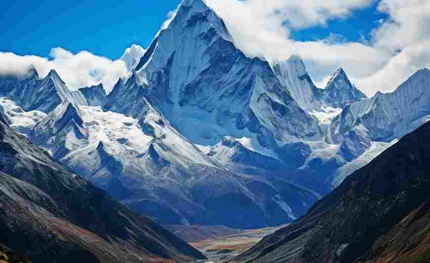 莆田地區(qū)最新SEO算法變化