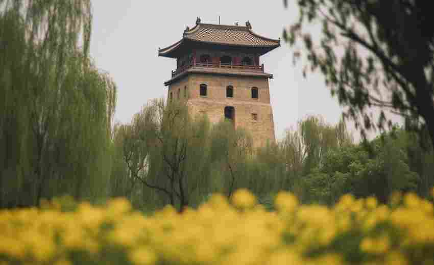 富平地區(qū)有哪些成功的SEO案例？