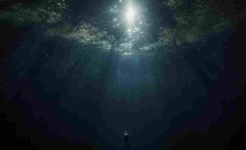 深圳網(wǎng)站建設(shè)中深海組案例的成功經(jīng)驗是什么