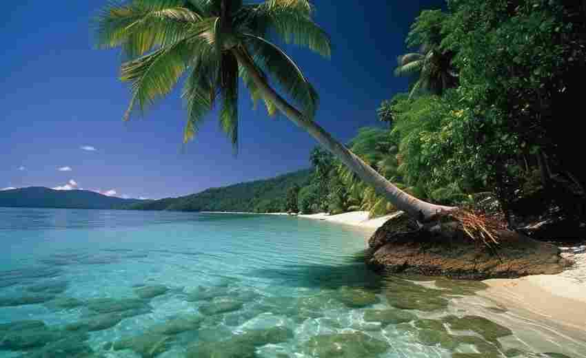 自然元素在海南網(wǎng)站界面設計中的創(chuàng)新應用有哪些