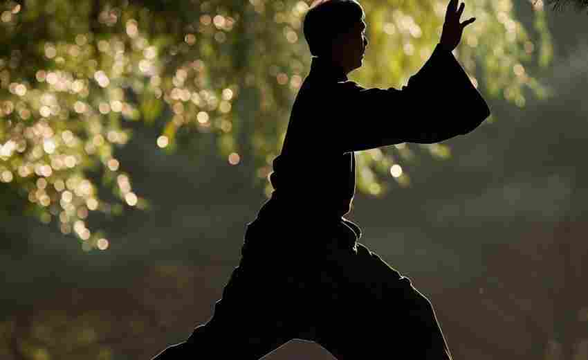 如何在網(wǎng)站設(shè)計(jì)中體現(xiàn)溫縣太極拳文化元素