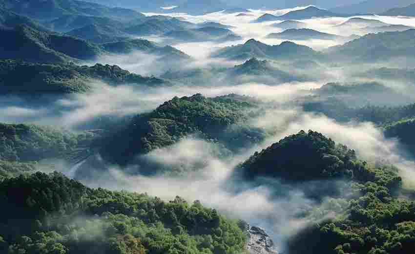 綏芬河市有哪些通過SEO實現(xiàn)業(yè)績增長的案例？