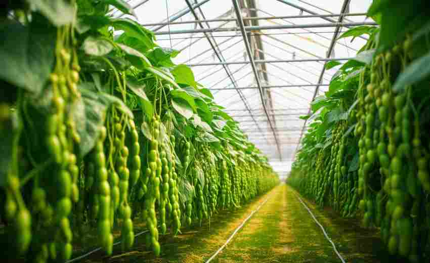 壽光農(nóng)業(yè)特色如何融入網(wǎng)站設(shè)計與功能開發(fā)