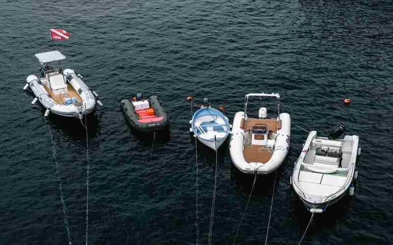 discuz 無法編輯個人資料 Discuz模板