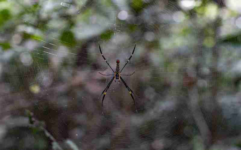 discuz論壇怎么關(guān)閉用戶頁,discuz q