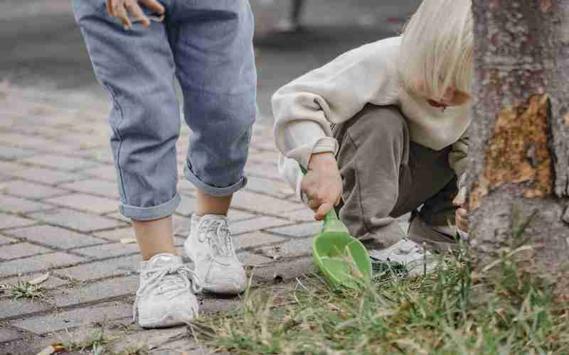 Discuz論壇 服務(wù)器配置服務(wù)器主機(jī)配置