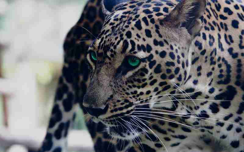 下載網(wǎng)站模板排序錯(cuò)亂;表格房號(hào)錯(cuò)亂怎么排序