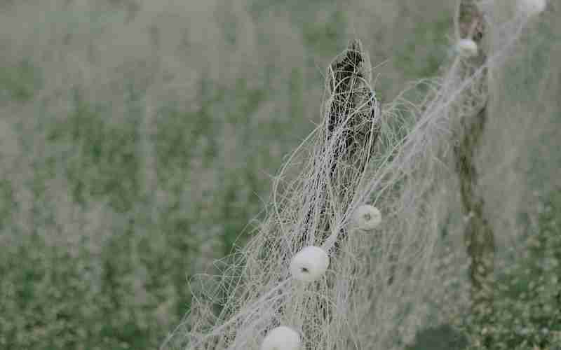 化妝品網(wǎng)站模板源碼關于化妝品的網(wǎng)頁設計