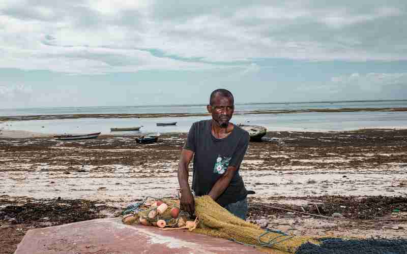 簡歷怎么寫mysql、mysql的軟件叫什么