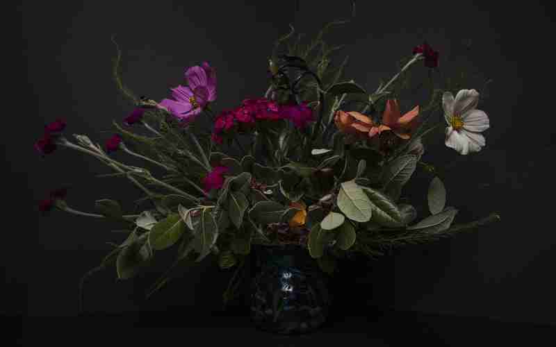 discuz  3.2論壇如何禁止廣告貼、物業(yè)禁止貼小廣告通知