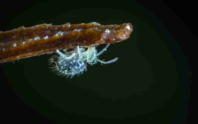 php怎么判斷符串是回文_php字符串連接符用什么符號(hào)