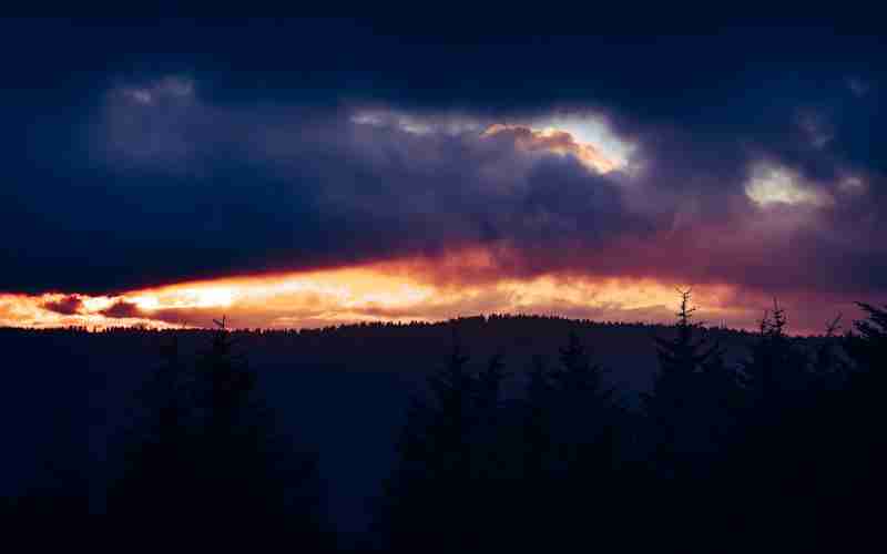 求助登入面板無法進(jìn)入—授權(quán)失敗請重新登錄怎么辦