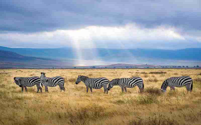 mysql服務器怎么重啟 啟動mysql服務命令