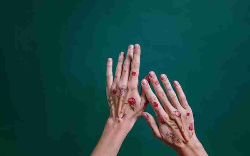 discuz sql 精華帖排序-sqlserver排序語句